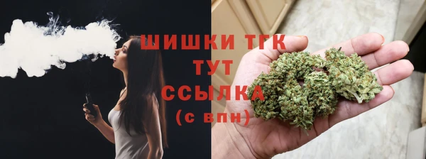 соль ск Белокуриха