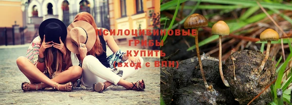 соль ск Белокуриха