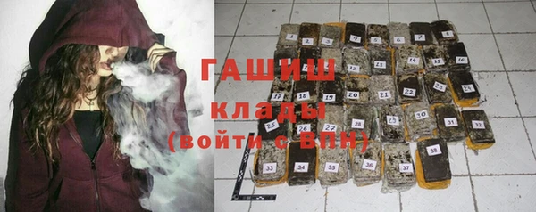 индика Богданович