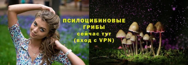 индика Богданович