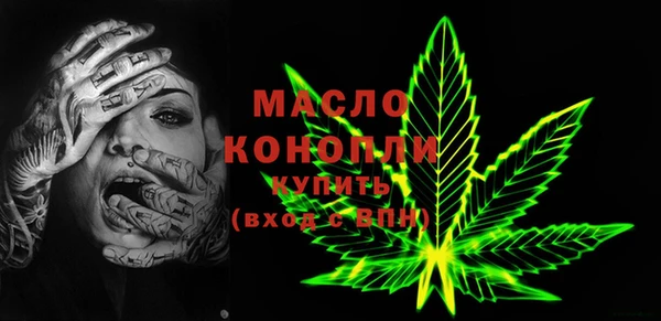 дживик Богородицк
